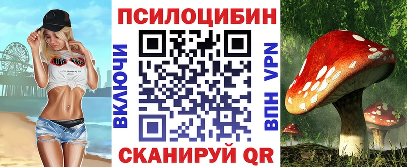 магазин    Сенгилей  Галлюциногенные грибы Psilocybe 